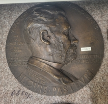 LGA6854/1
